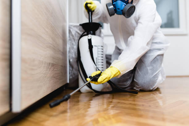 Best Best Pest Control Near Me  in Harrodsburg, KY