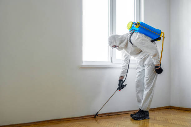Best Flea Control Services  in Harrodsburg, KY