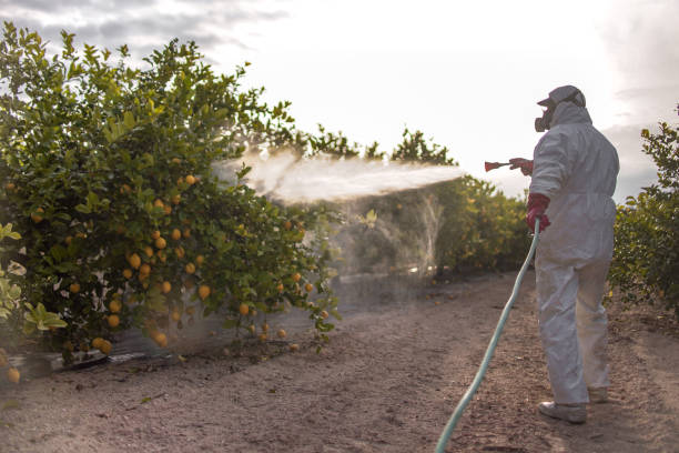 Best Affordable Pest Control Services  in Harrodsburg, KY