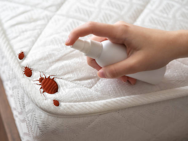 Best Termite Control Services  in Harrodsburg, KY