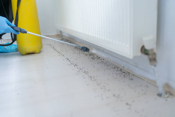 Best Pest Prevention Services  in Harrodsburg, KY